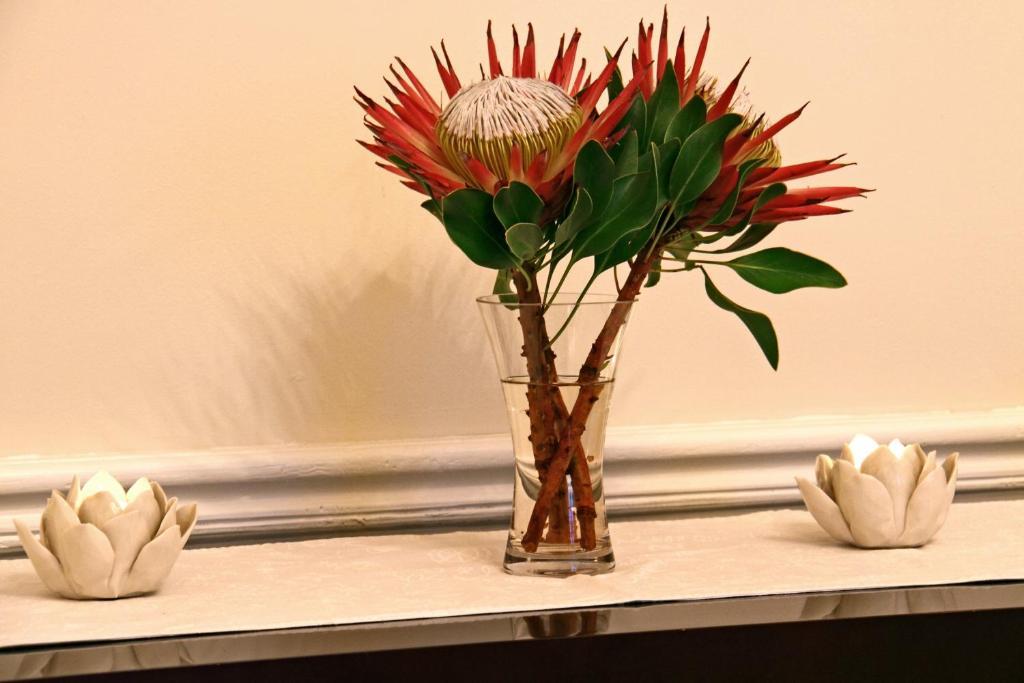 Nine Flowers Guest house 3*
